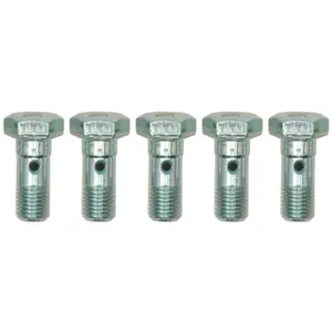 Raybestos BRAKE HYDRAULIC BANJO BOLT 1095340 