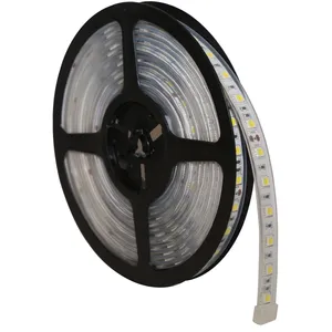 ECCO Interior Light 1117536 