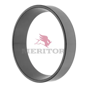 Meritor Std Whl Bg Cone 772904 