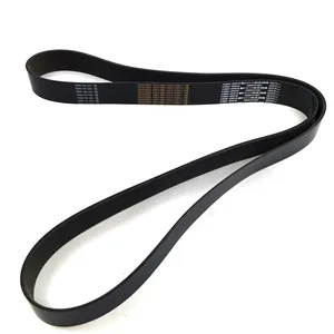 Dayco Serpentine Belt 250828 