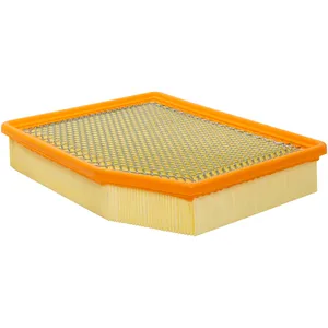 Baldwin Air Filter 305522 