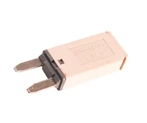 Grote Circuit Breaker 280706 