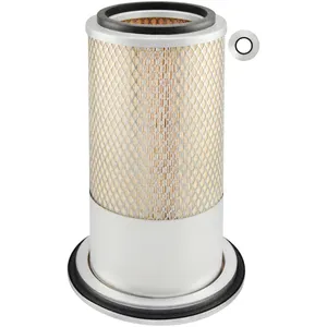 Baldwin FILTER 377778 