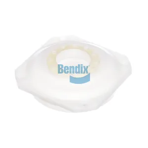 Bendix CAP COMPLETE 361620 