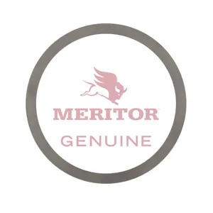 Meritor Shim-.010 244732 