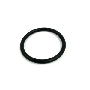 PAI O-Ring - Air Module 248828 