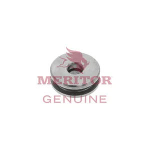 Meritor AY PISTON & 743036 