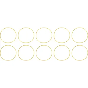 Spicer Locking Hub O-Ring 224342 