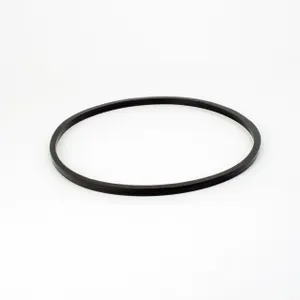 Donaldson SERVICE GASKET 1113969 