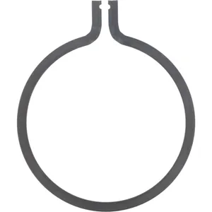Spicer RET RING 526068 