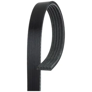 Gates MICRO V BELT 1055528 