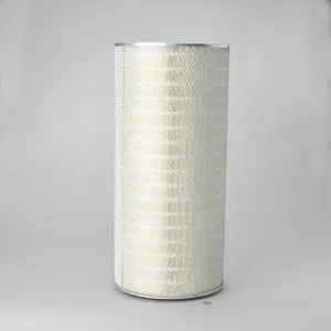 Donaldson AIR FILTER 861216 