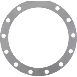 Spicer SHIM 507168 