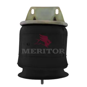 Firestone Air Spring 769848 