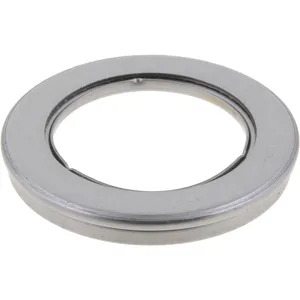 Spicer BEARING NEEDLE 521666 