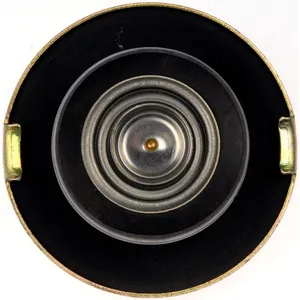 Dorman Cap 555266 