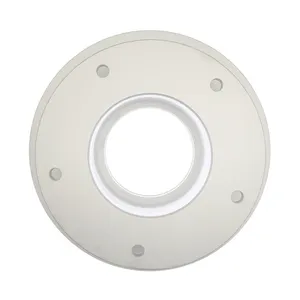 Raybestos DISC BRAKE ROTOR 987816 
