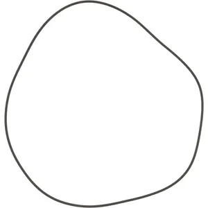 Spicer O RING 497746 