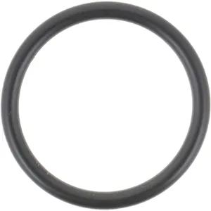 Spicer O - RING 501920 