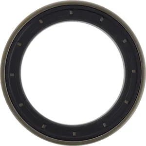 Spicer SEAL 541720 