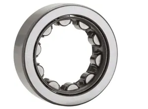 Bower Bearings CYL RLLR BEARNG 691228 