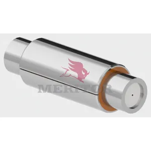 Meritor Center Bushing 574336 