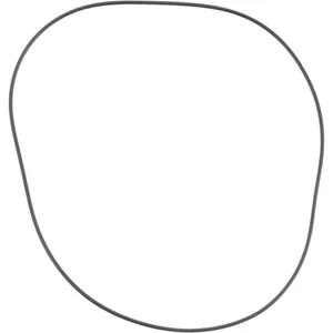 Spicer O RING 513840 
