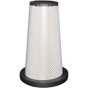 Baldwin Air Element 248992 