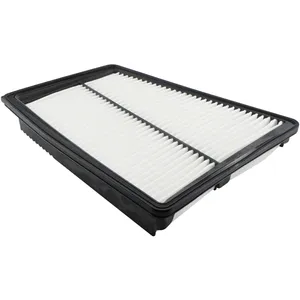 Baldwin AIR ELEMENT 905656 