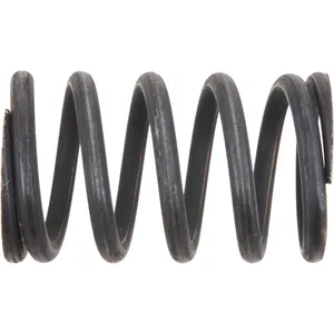 Spicer Retainer - No-Spin Differential Spring 222402 