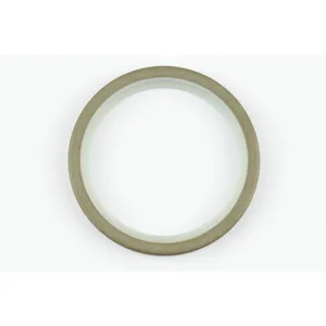Spicer SEAL 513788 