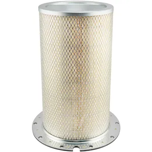 Baldwin Air Element 227362 