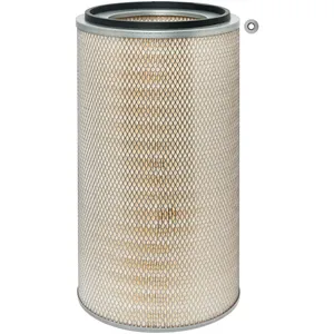Baldwin AIR FILTER 1437034 