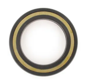 SKF Seal 492904 