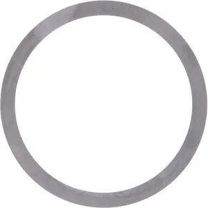 Spicer SHIM .005 317840 
