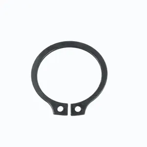 Euclid Lock Ring, Camshaft, Brake 298222 