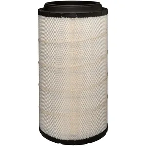 Baldwin Air Filter 295286 