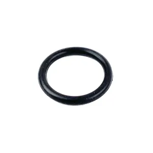 PAI O-RING 322998 