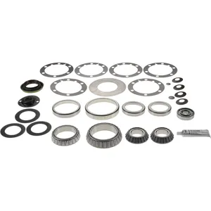 Spicer Repair Kit - Differential Bearings 244330 