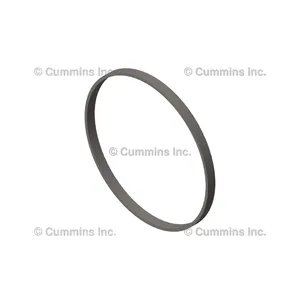 Cummins Seal 294732 