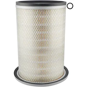 Baldwin Air Element 236038 