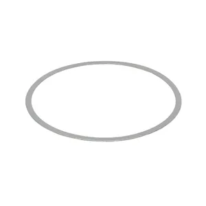 PAI Gasket, Diesel Particulate Filter (Def) 251808 