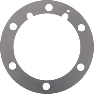 Spicer SHIM .005 317392 