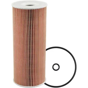 Baldwin FILTER 295254 