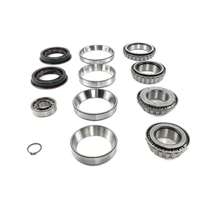 Meritor Bearing And Seal Kit, Differential 256980 
