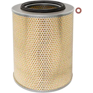 Baldwin AIR FILTER 1438922 