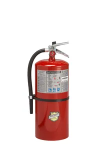 Buckeye Fire Extinguisher 223052 