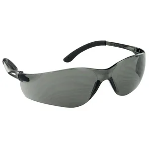 SAS Safety Corp GLASSES 304806 