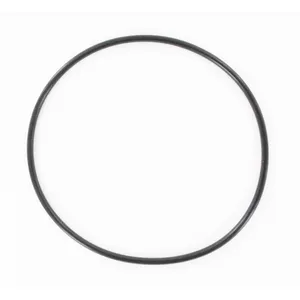 SKF O-Ring 493684 