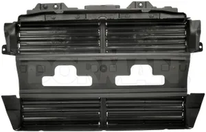 Dorman GRILLE 543916 
